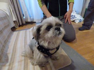 2016年2月21日 かなり。_b0098584_11583066.jpg