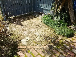 b0266191_21505072.jpg