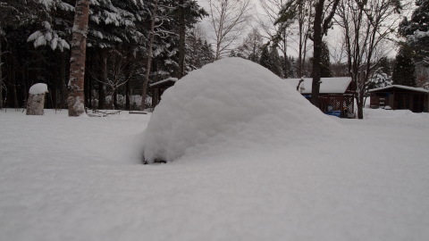 低気圧は夜中だけ、そして朝は除雪_b0343293_21551892.jpg