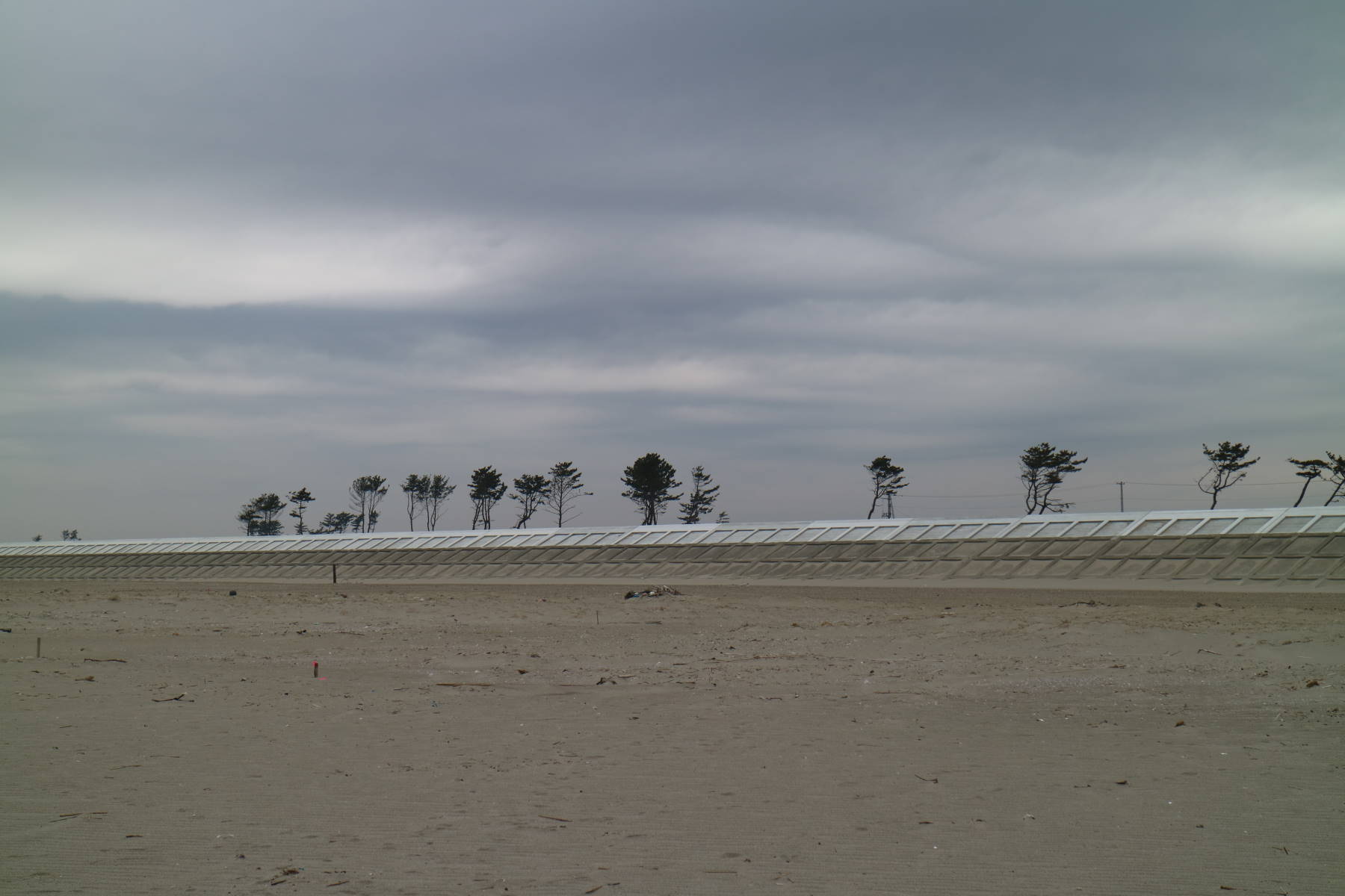 f0075595_21014266.jpg