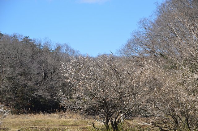 c0124100_23565220.jpg