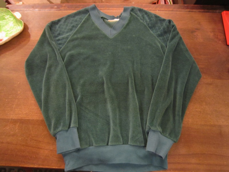 European Velour Top。_a0182112_18293155.jpg