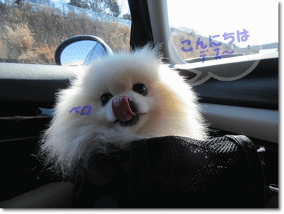 b0167519_22205688.gif