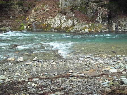 気温1.5度の曇り空・・・・朽木小川・気象台より_c0044819_7451392.jpg