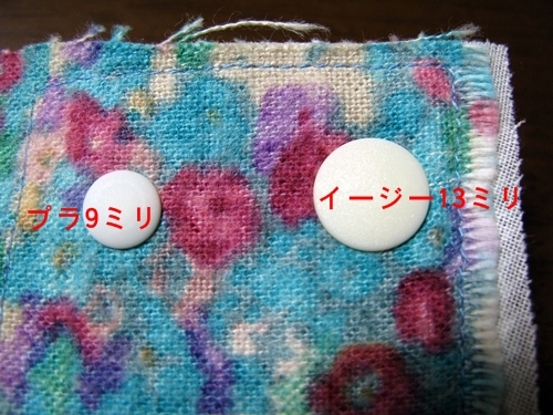 プラスナップ イージースナップ 使用レポ_f0129726_21545594.jpg