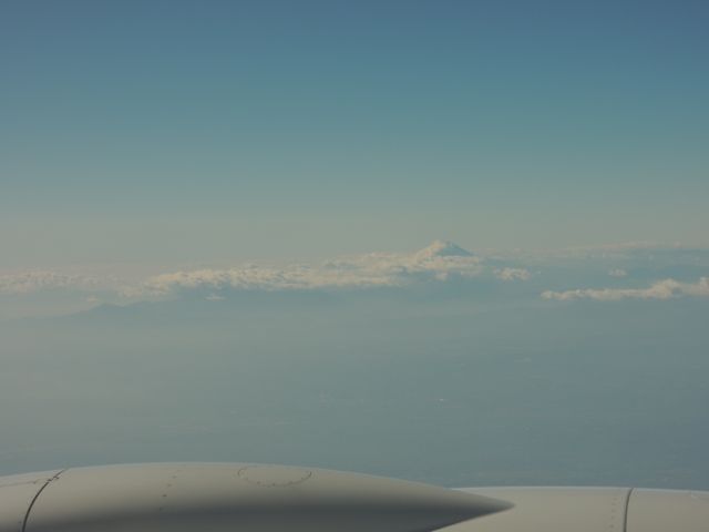 a0254130_1545233.jpg