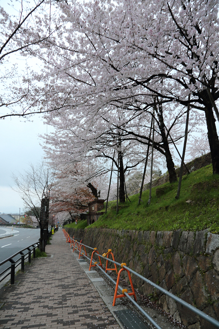 桜の南禅寺・哲学の路 －インクライン～南禅寺－_b0169330_23205434.jpg