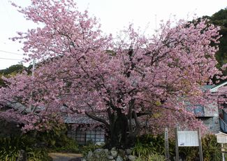 f0211837_2013415.jpg