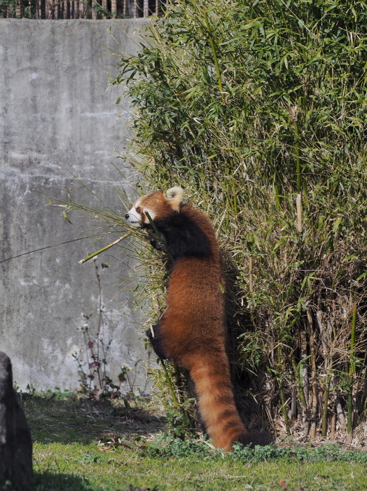 ぽかぽか陽気、みさき公園_a0149740_01573109.jpg