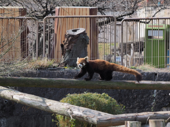 ぽかぽか陽気、みさき公園_a0149740_01580895.jpg