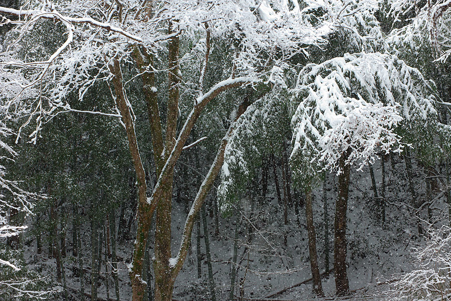c0067040_21525536.jpg