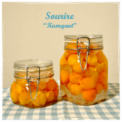 Kumquat ~金柑~_c0350941_22281432.png