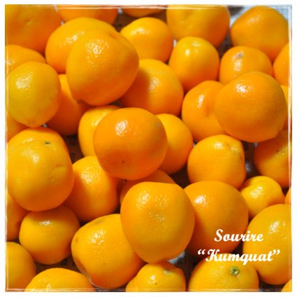 Kumquat ~金柑~_c0350941_22283598.png