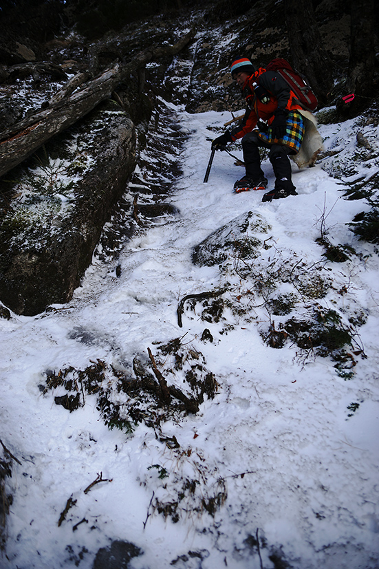 照れ屋の甲斐駒を眺めに鞍掛山_f0016656_2240662.jpg