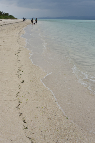 f0065768_00440864.jpg