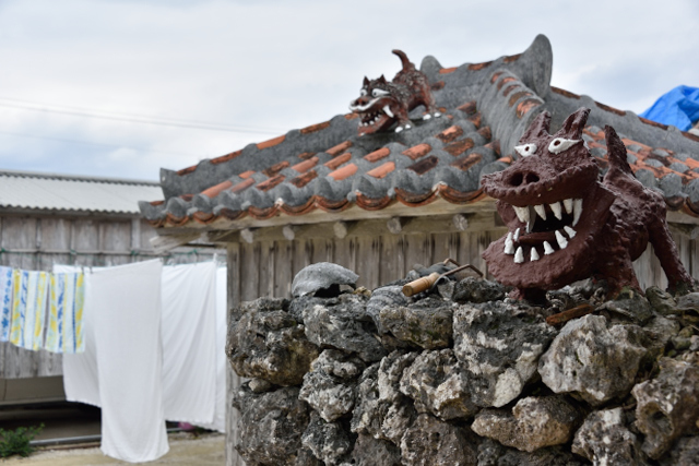 美ら島の旅 (竹富サイクリング編♪)_f0065768_02171920.jpg