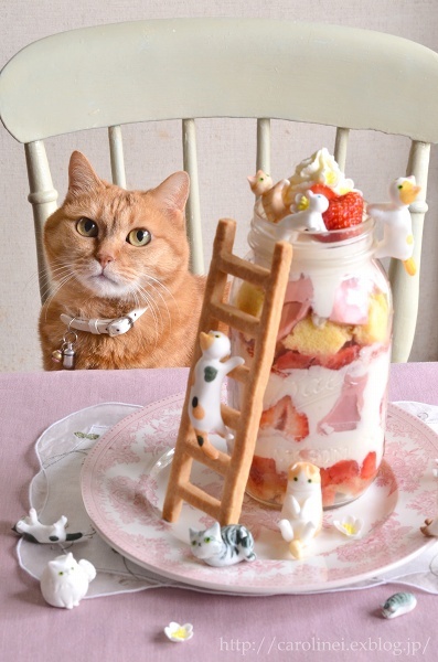 猫の日に、猫と苺のメイソンジャースイーツ　　Homemade Cat & Strawberry Mason Jar cake for Japanese Cat Day_d0025294_19272395.jpg