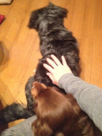 b0292900_19174253.jpeg