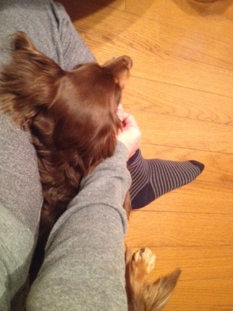 b0292900_19270831.jpeg