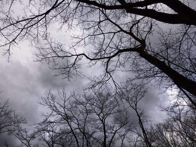 b0292900_21095782.jpg