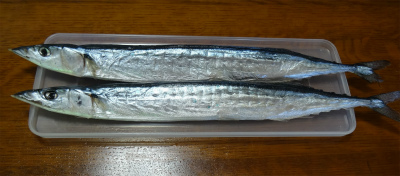 c0125501_0134955.jpg
