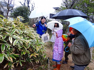 すみれば探検隊「冬の生きものをさがそう」_b0049307_11533396.jpg