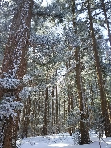 b0182708_18462386.jpg