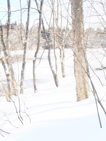 b0182708_18503888.jpg
