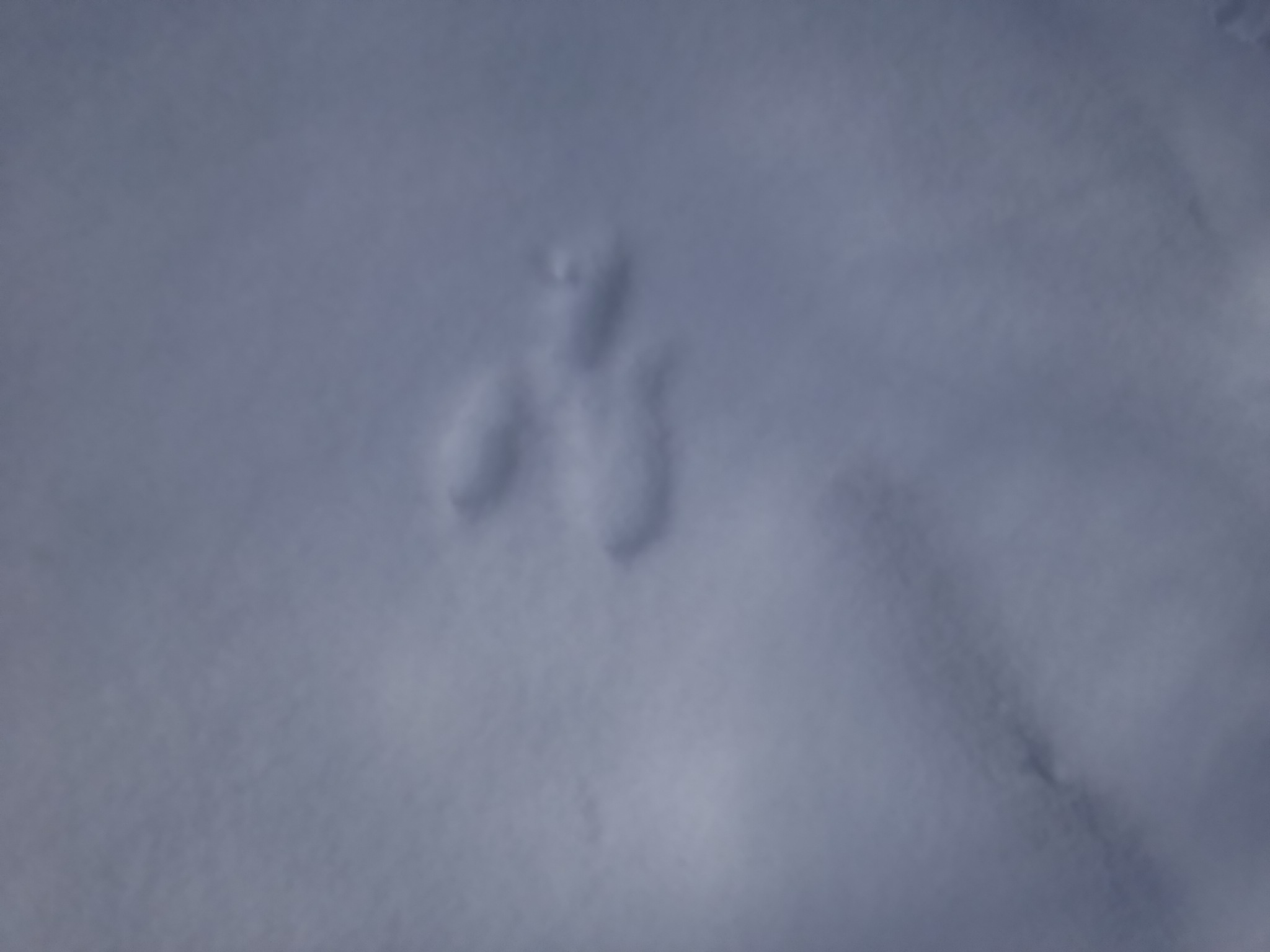 b0182708_18534965.jpg
