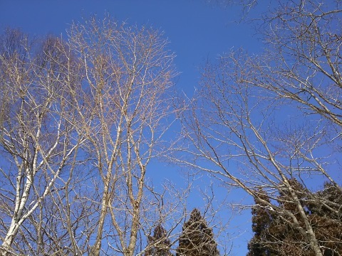 b0182708_18582502.jpg
