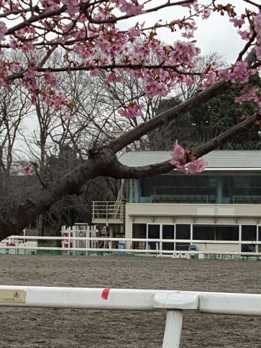血液検査&デニーズ初体験_e0016828_15454568.jpg