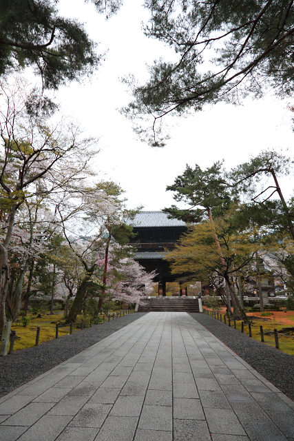 桜の南禅寺・哲学の路 －インクライン～南禅寺－_b0169330_7272592.jpg