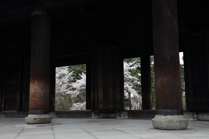 桜の南禅寺・哲学の路 －インクライン～南禅寺－_b0169330_7444167.jpg