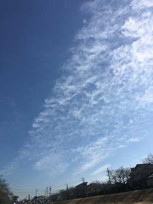 b0190530_17262433.jpg