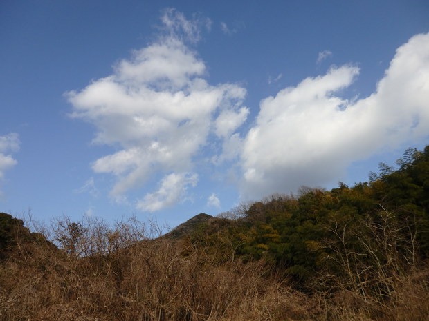 a0054240_20231173.jpg