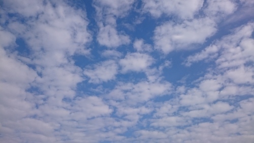 e0145441_22444188.jpg