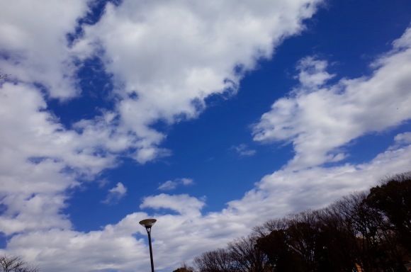 a0232368_07045979.jpeg