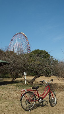 小いかの缶詰_b0068780_1654637.jpg