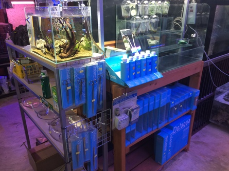 2/23 店長日記_e0173381_1923769.jpg