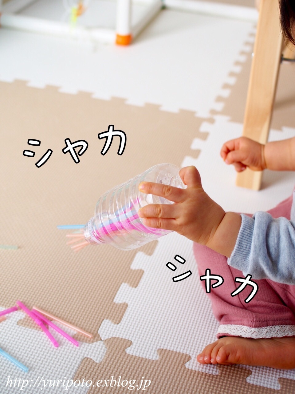 b0338982_15363520.jpeg