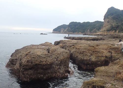 d0174683_23364.jpg