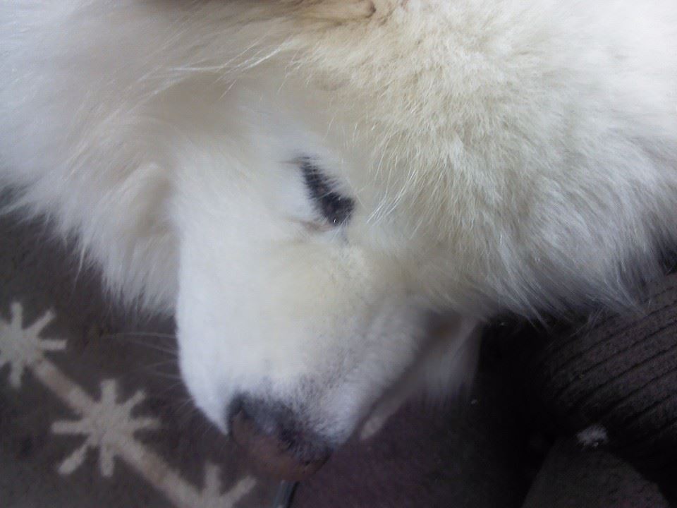 c0122633_17484188.jpg