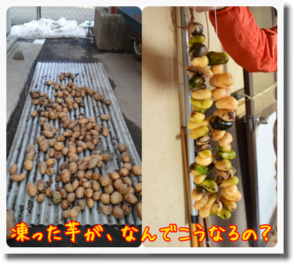 c0259934_10283444.png