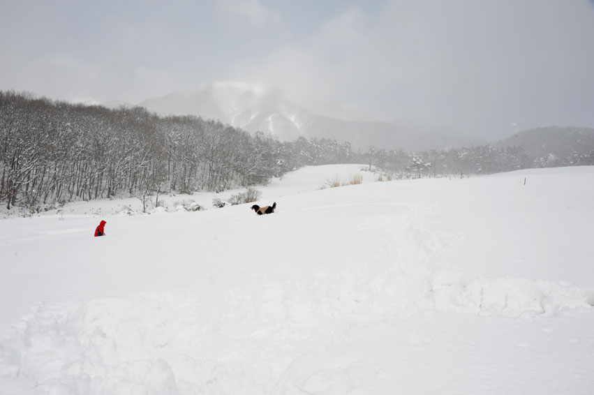 今シーズン2度目の雪山遊び♪・・・その②（父さんと一緒♪） _b0075541_14333727.jpg