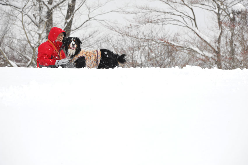 今シーズン2度目の雪山遊び♪・・・その②（父さんと一緒♪） _b0075541_14352437.jpg