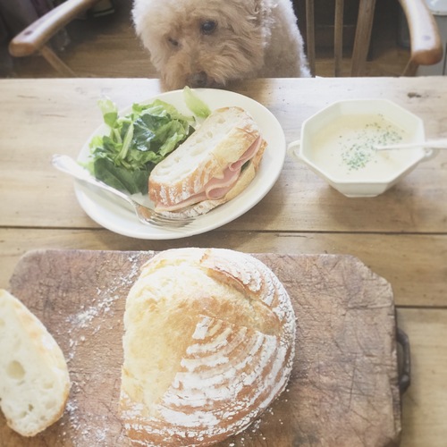 ランチ と スズラン_e0325043_18201698.jpg