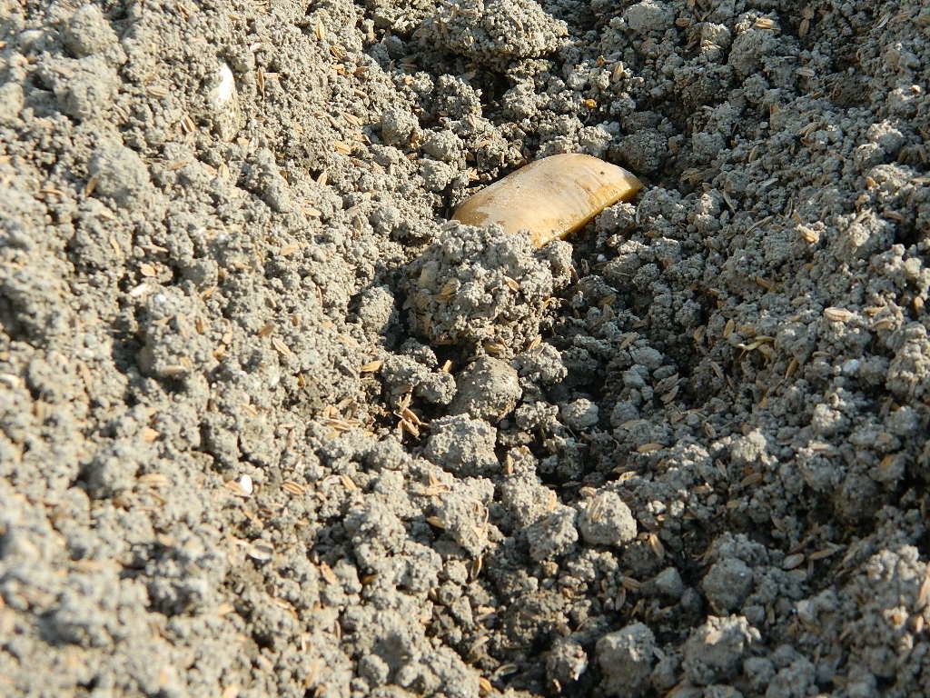 b0218444_12063888.jpg
