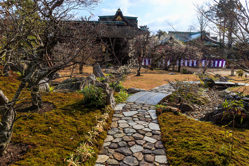 梅の季節（北野天満宮）_f0155048_23101853.jpg