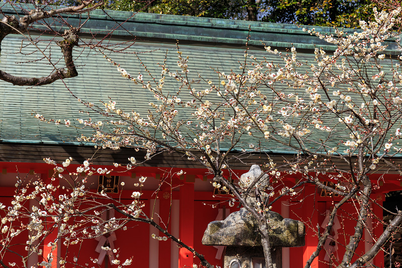 梅の季節（北野天満宮）_f0155048_239073.jpg