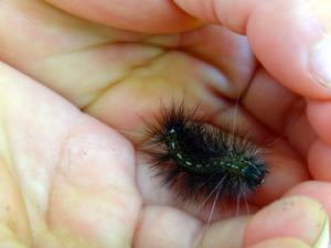 5月3週 みんなの気持ちが集れば_e0256851_206420.jpg